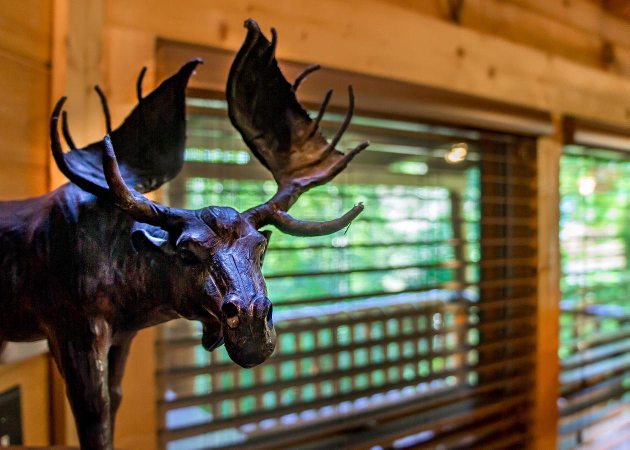 Bearfoot Inn #35セバービル エクステリア 写真